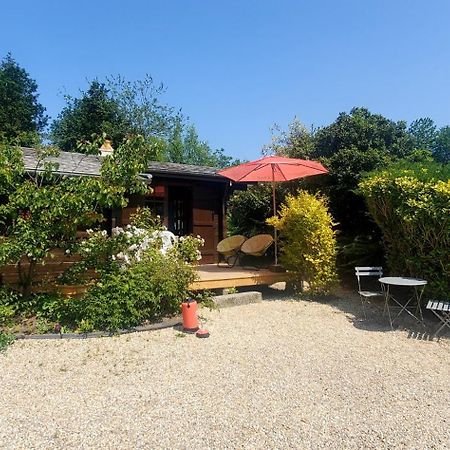 Lanvallay Chalet En Pleine Nature Au Bord D'Un Etang מראה חיצוני תמונה