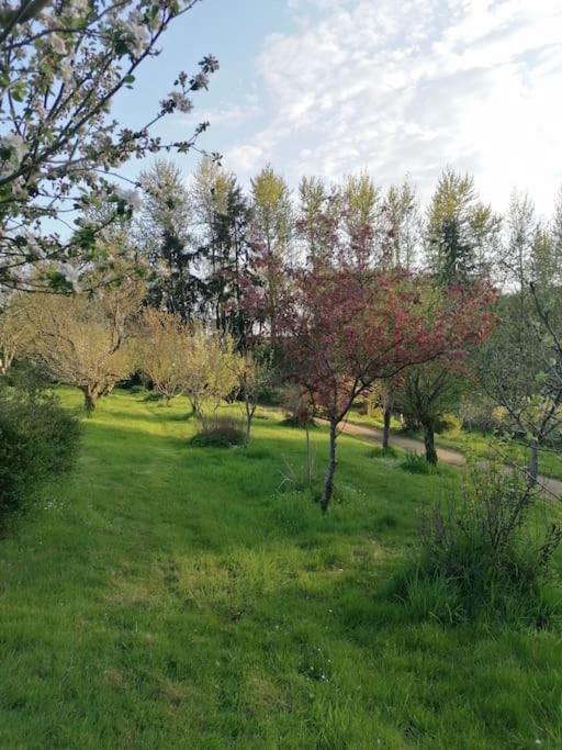 Lanvallay Chalet En Pleine Nature Au Bord D'Un Etang מראה חיצוני תמונה