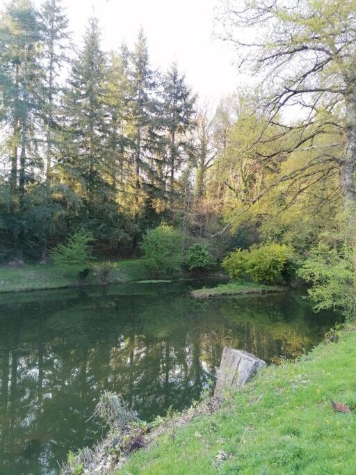 Lanvallay Chalet En Pleine Nature Au Bord D'Un Etang מראה חיצוני תמונה