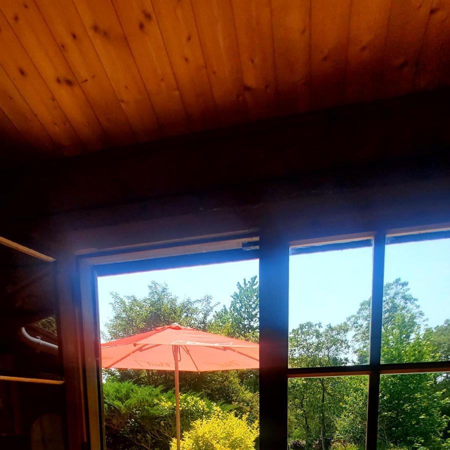 Lanvallay Chalet En Pleine Nature Au Bord D'Un Etang מראה חיצוני תמונה